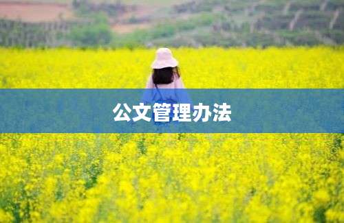 公文管理办法
