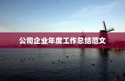 公司企业年度工作总结范文
