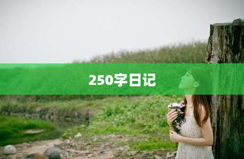 250字日记