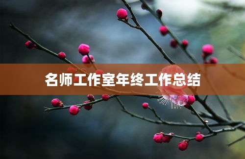 名师工作室年终工作总结