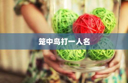 笼中鸟打一人名