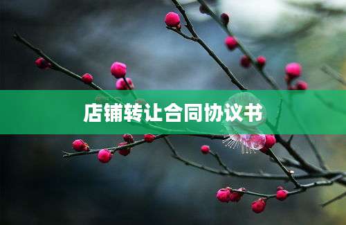 店铺转让合同协议书
