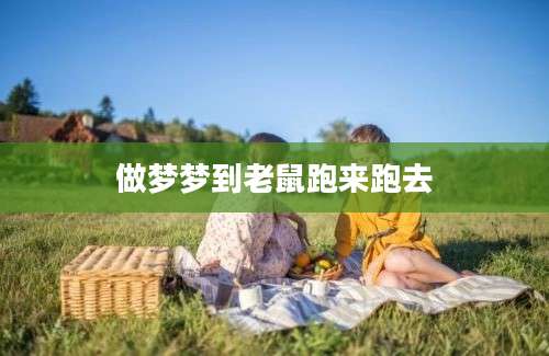 做梦梦到老鼠跑来跑去