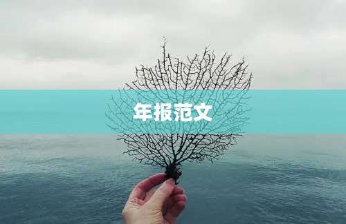 年报范文