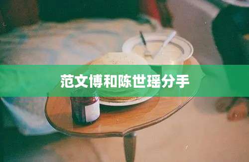 范文博和陈世瑶分手