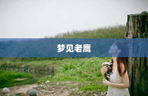 梦见老鹰