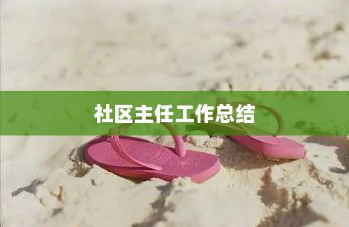社区主任工作总结