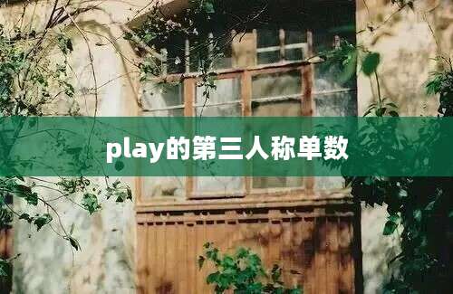 play的第三人称单数