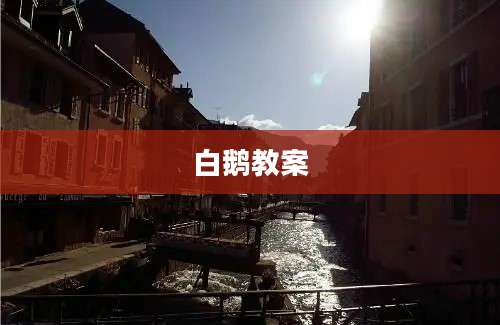 白鹅教案