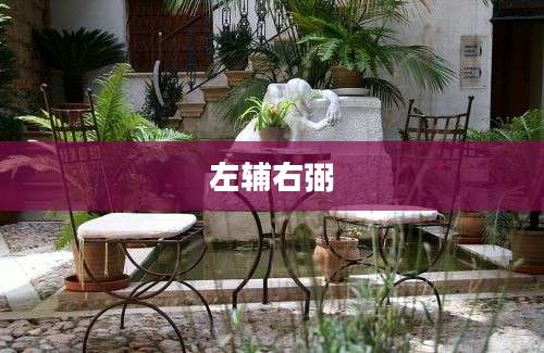 左辅右弼