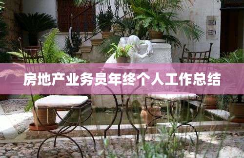 房地产业务员年终个人工作总结