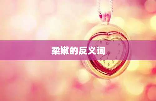 柔嫩的反义词