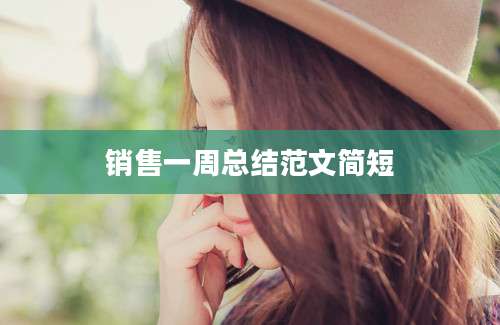 销售一周总结范文简短