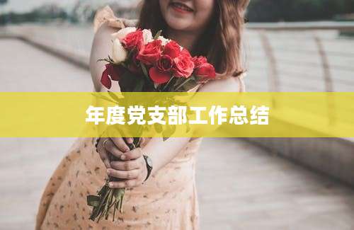 年度党支部工作总结