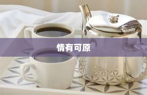 情有可原