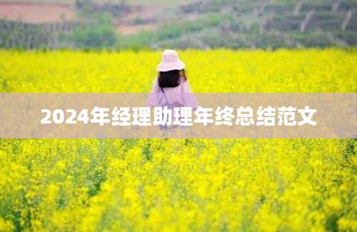 2024年经理助理年终总结范文