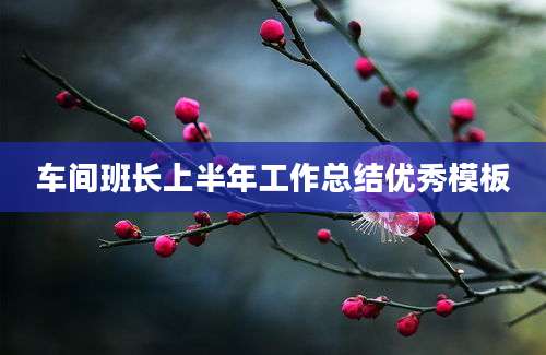 车间班长上半年工作总结优秀模板