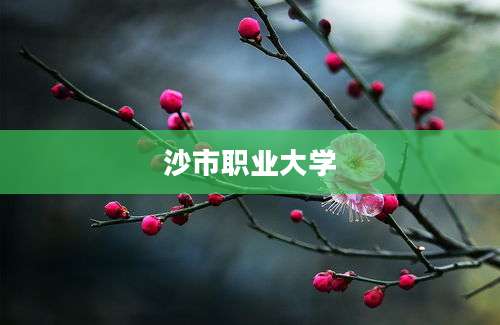 沙市职业大学