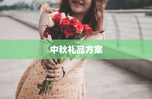 中秋礼品方案