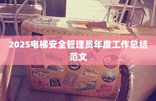 2025电梯安全管理员年度工作总结范文