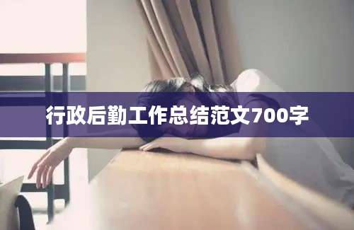 行政后勤工作总结范文700字
