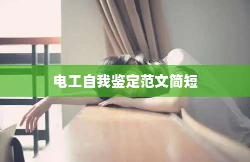 电工自我鉴定范文简短