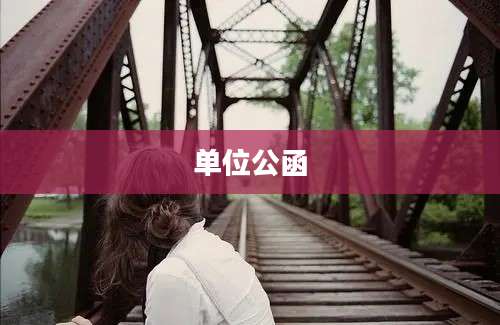 单位公函