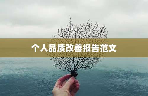 个人品质改善报告范文