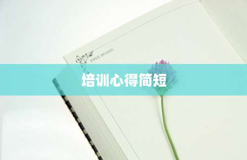 培训心得简短