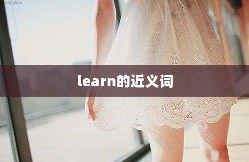 learn的近义词