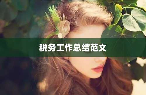 税务工作总结范文