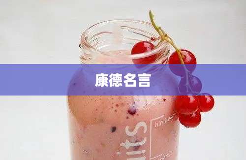 康德名言