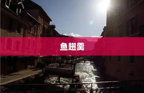 鱼翅羹