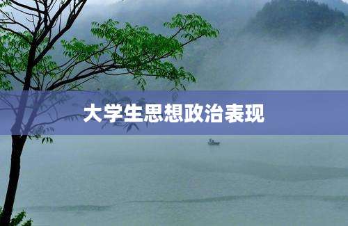 大学生思想政治表现