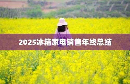 2025冰箱家电销售年终总结
