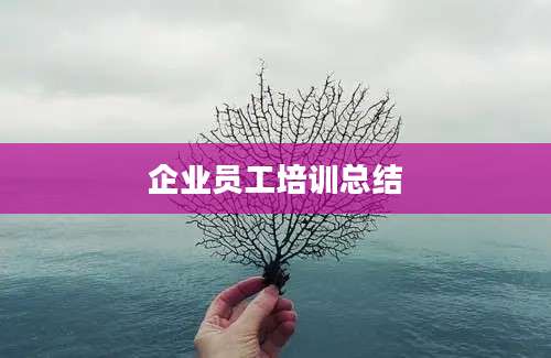 企业员工培训总结
