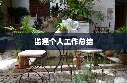 监理个人工作总结
