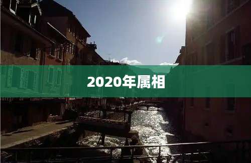 2020年属相
