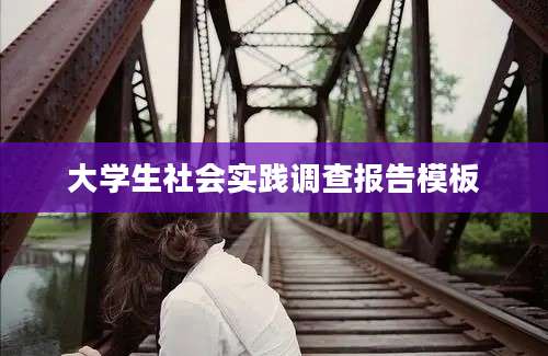 大学生社会实践调查报告模板