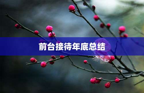 前台接待年底总结