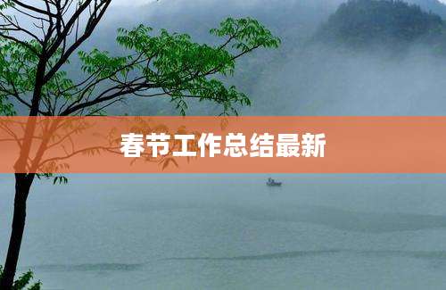 春节工作总结最新