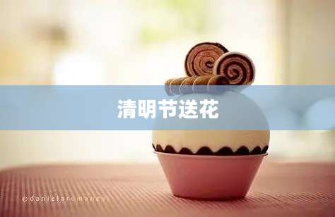 清明节送花