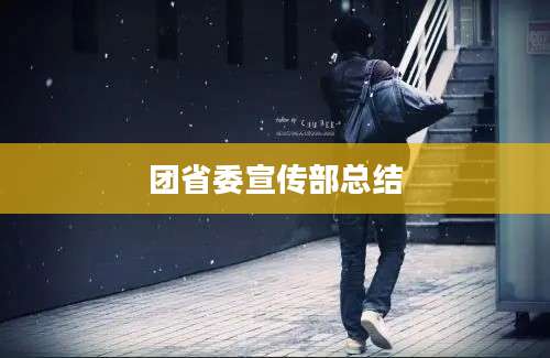 团省委宣传部总结