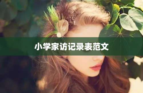 小学家访记录表范文