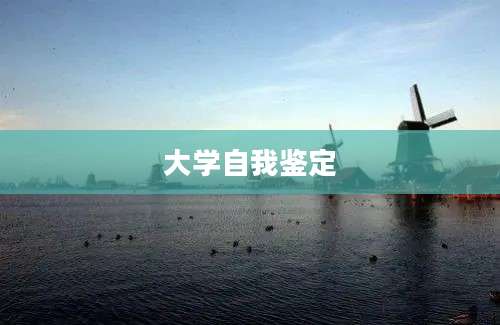大学自我鉴定