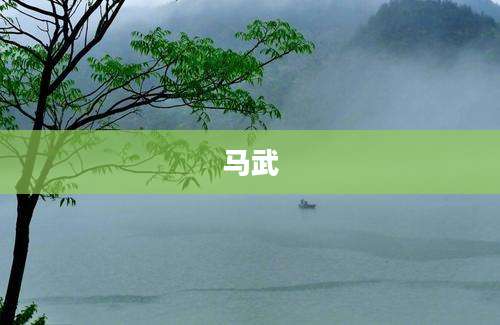 马武