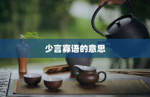 少言寡语的意思
