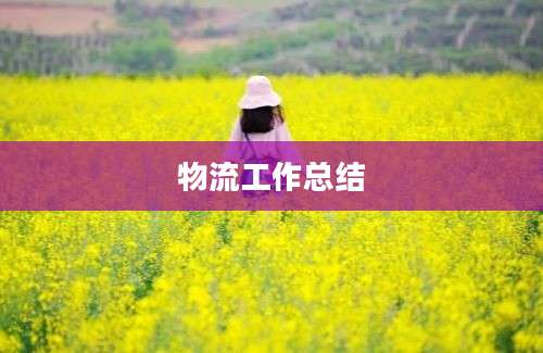 物流工作总结