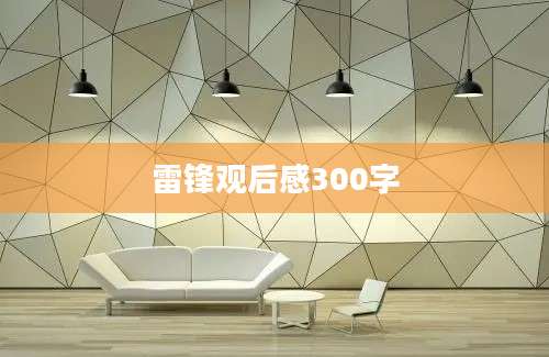 雷锋观后感300字