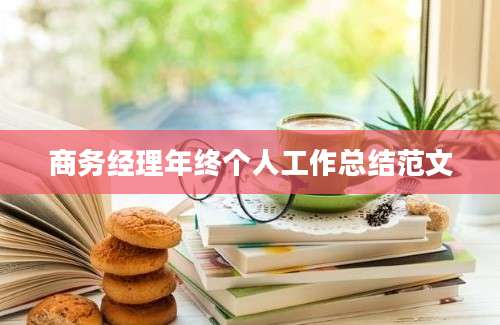 商务经理年终个人工作总结范文